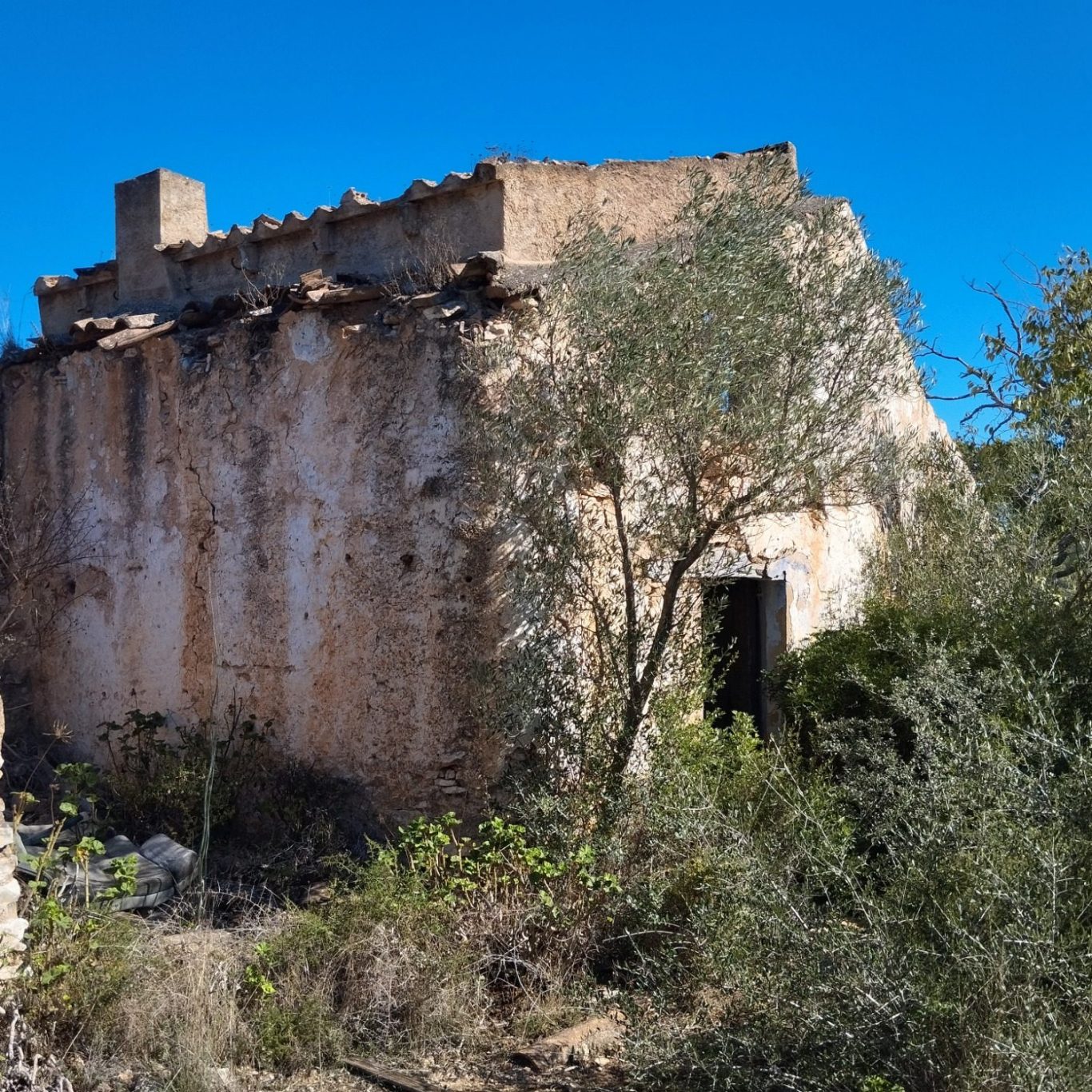 Gran finca rustica